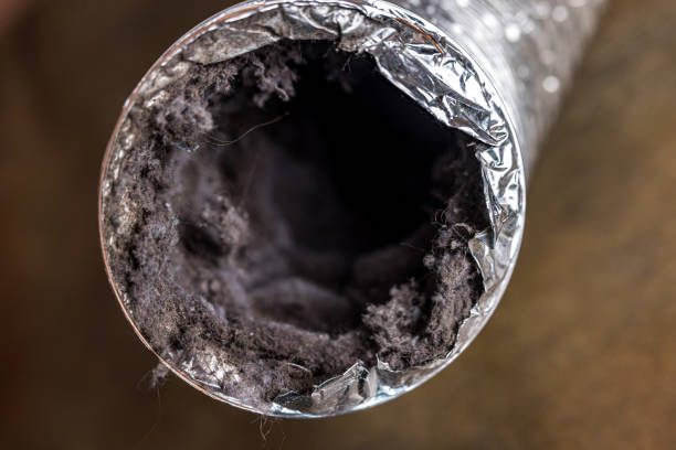 Best Air Duct Cleaning Company Near Me  in Princeton, TX