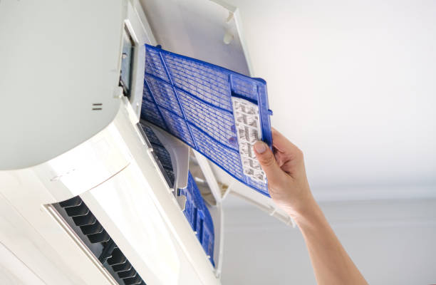 Best Air Duct Cleaning Near Me  in Princeton, TX