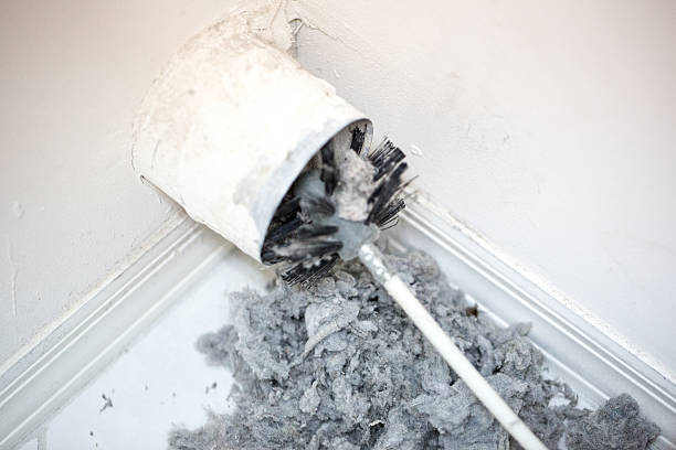 Best Residential Air Duct Cleaning  in Princeton, TX